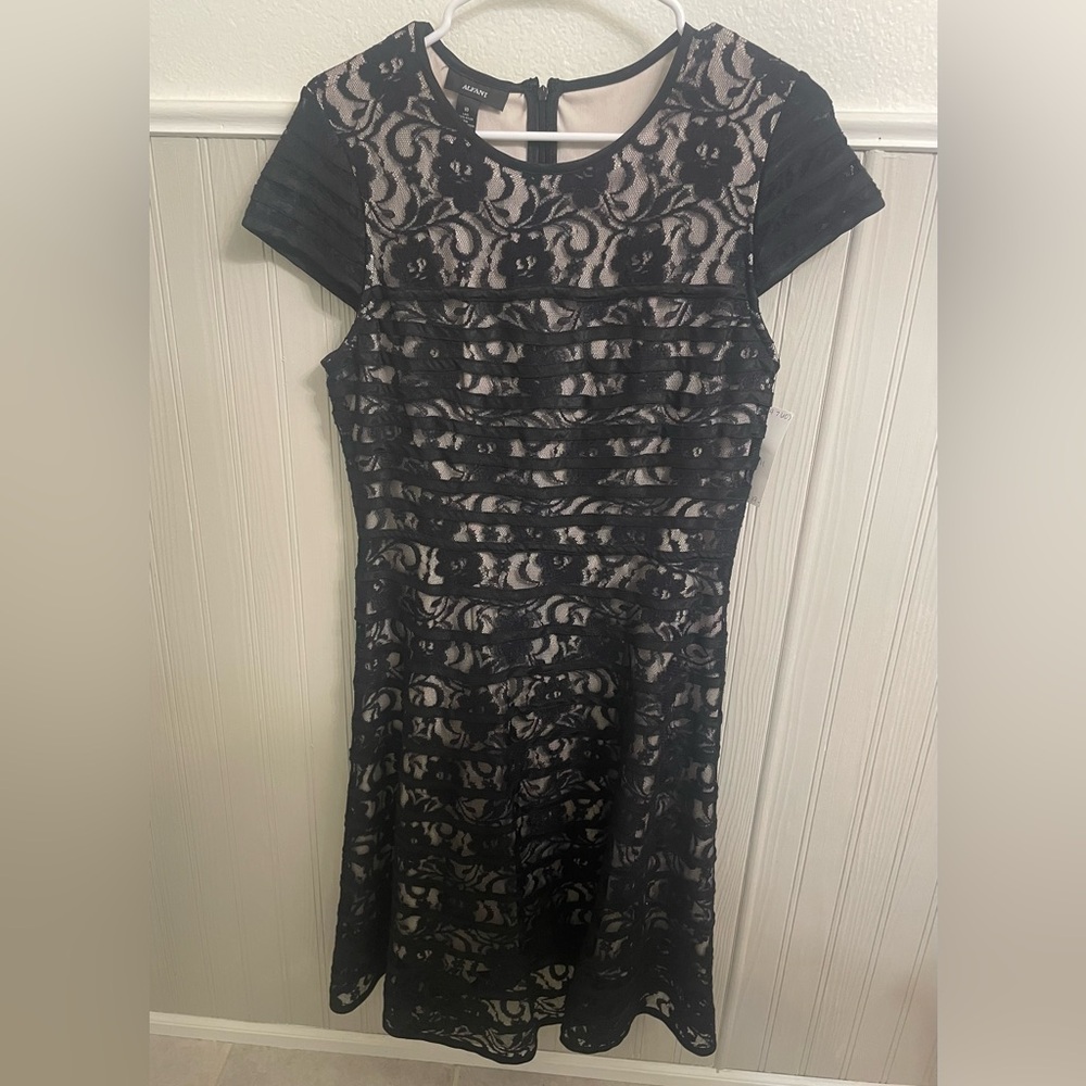 Alfani women’s dress size 10 black lace short sleeve nude lining dress striped